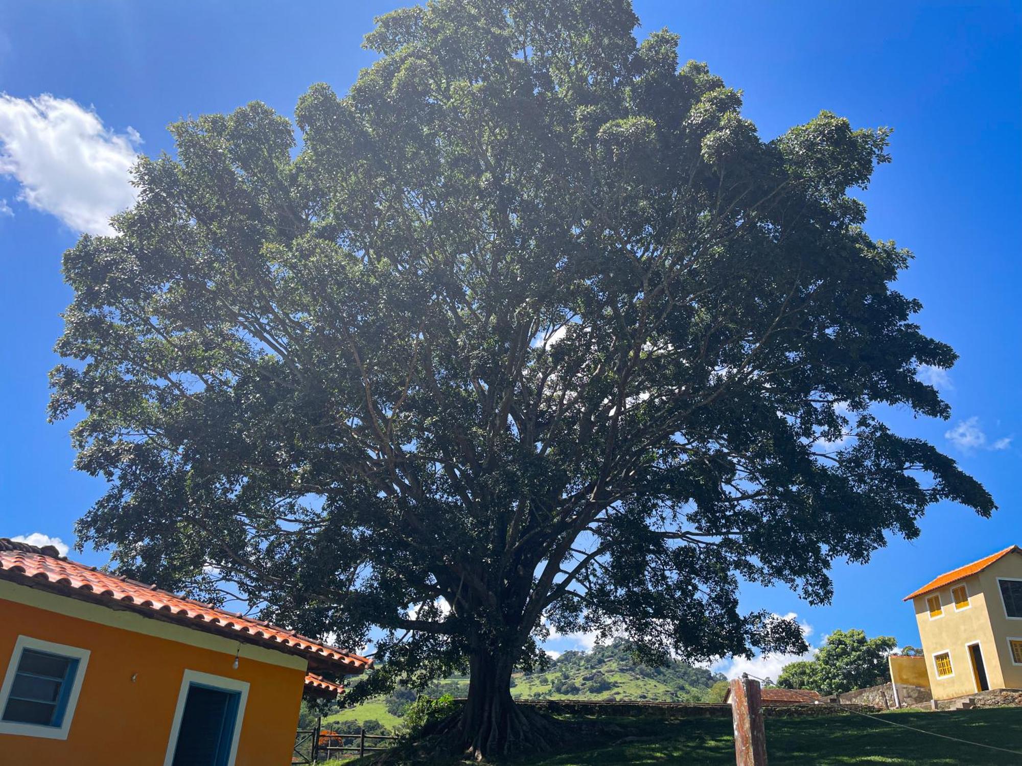 Fortuna Casas De Campo Сокорру Экстерьер фото